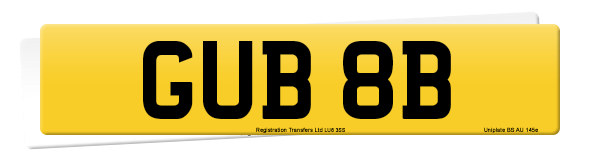 Registration number GUB 8B